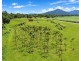 LOT 9 Bruce Hwy, Silky Oak QLD 4854