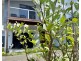 26 Porter Prom, Mission Beach QLD 4852
