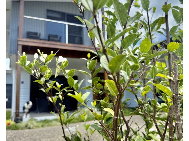 26 Porter Prom, Mission Beach QLD 4852