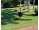 52 Kode Rd, Carmoo QLD 4852