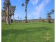 LOT 1 Fig Tree Beach Rd, Midgeree Bar QLD 4852