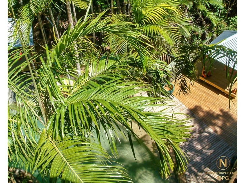 19 Explorers Dr, South Mission Beach QLD 4852