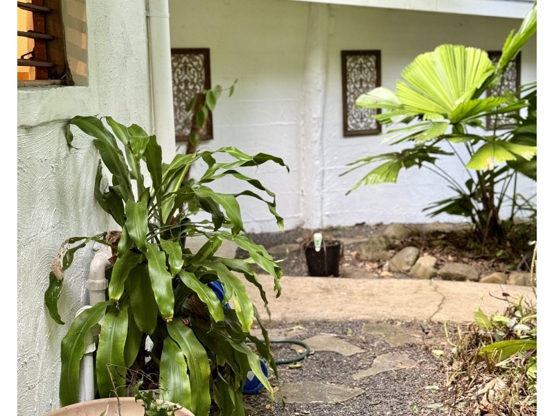 1 Cutten St, Bingil Bay QLD 4852