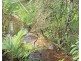 37 Jaffa Road, El Arish QLD 4855