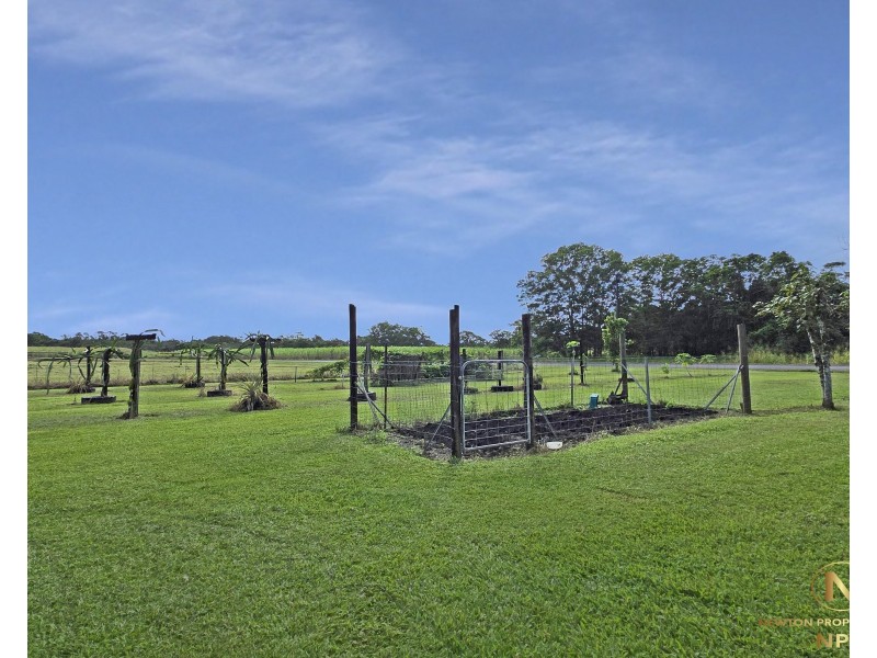 37 Jaffa Road, El Arish QLD 4855