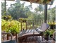 16 Thurles Street, Tully QLD 4854