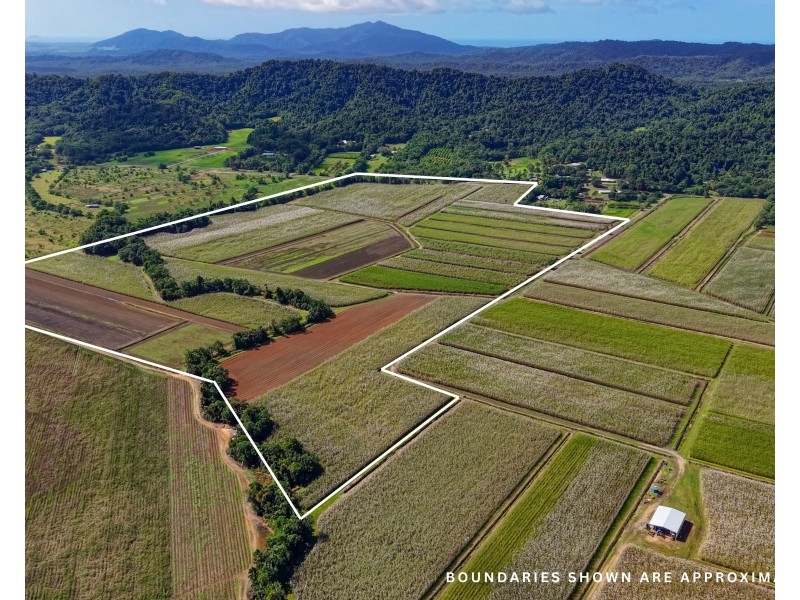 Lot 4 East Feluga Road, East Feluga QLD 4854