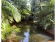 Lot 4 East Feluga Road, East Feluga QLD 4854
