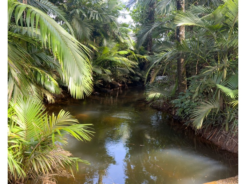 Lot 4 East Feluga Road, East Feluga QLD 4854