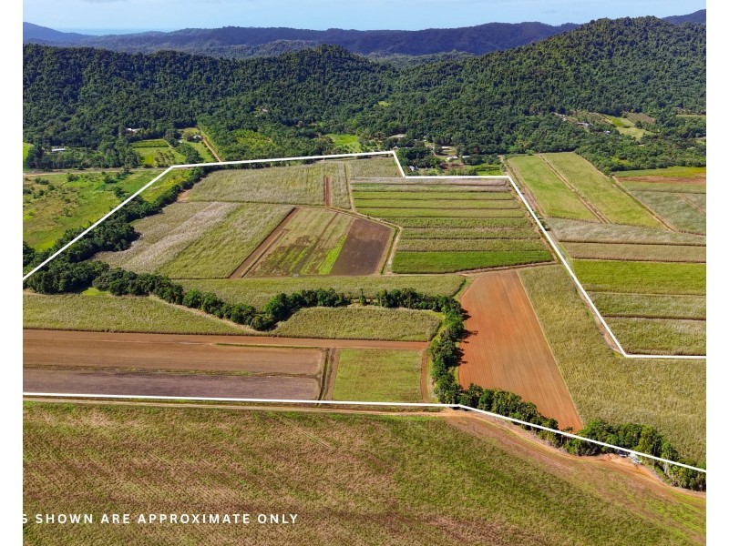 Lot 4 East Feluga Road, East Feluga QLD 4854