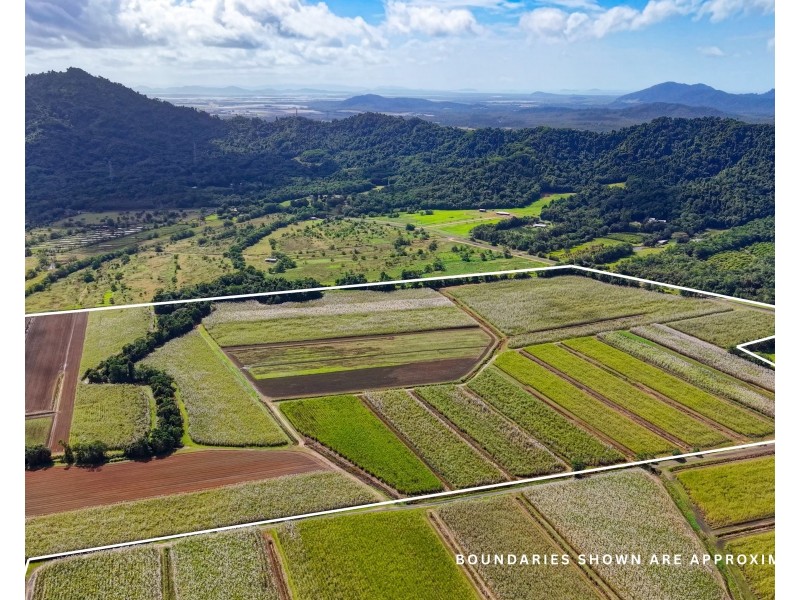 Lot 4 East Feluga Road, East Feluga QLD 4854