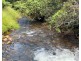 Lot 4 East Feluga Road, East Feluga QLD 4854