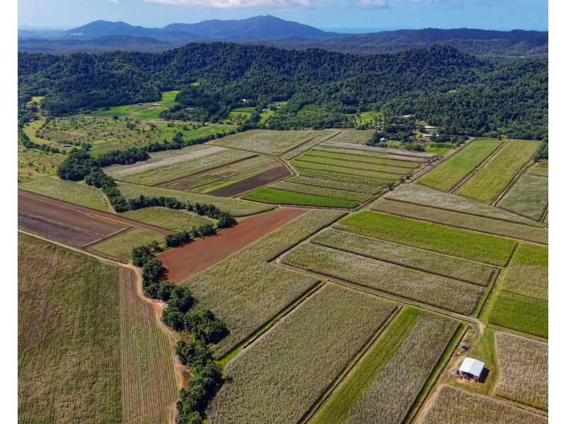 Lot 4 East Feluga Road, East Feluga QLD 4854
