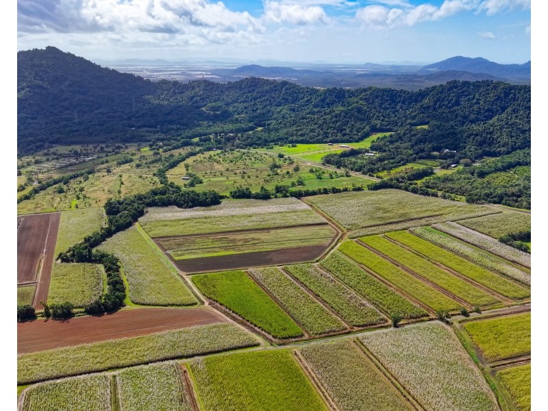 Lot 4 East Feluga Road, East Feluga QLD 4854
