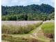 Lot 4 East Feluga Road, East Feluga QLD 4854