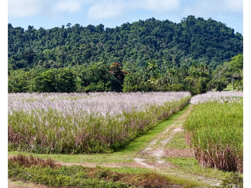 Lot 4 East Feluga Road, East Feluga QLD 4854