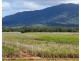 Lot 4 East Feluga Road, East Feluga QLD 4854