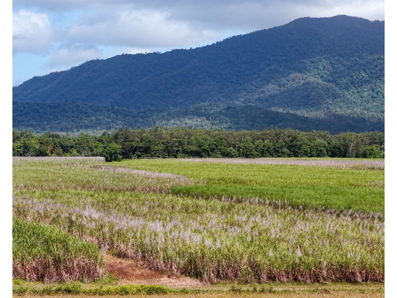 Lot 4 East Feluga Road, East Feluga QLD 4854