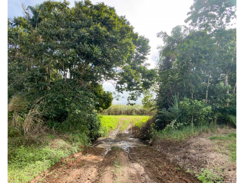 Lot 4 East Feluga Road, East Feluga QLD 4854