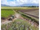 Lot 4 East Feluga Road, East Feluga QLD 4854