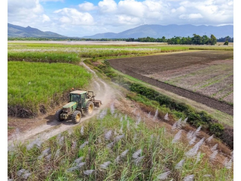 Lot 4 East Feluga Road, East Feluga QLD 4854
