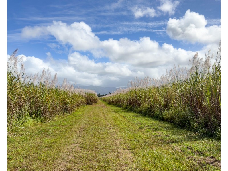 Lot 4 East Feluga Road, East Feluga QLD 4854