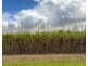 Lot 4 East Feluga Road, East Feluga QLD 4854