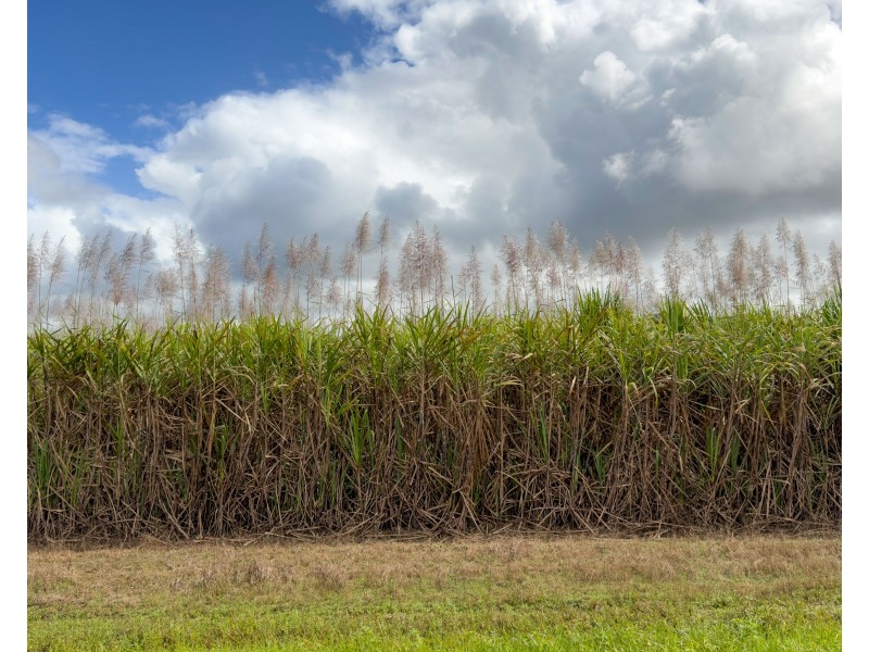 Lot 4 East Feluga Road, East Feluga QLD 4854