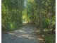 Lot 54 Lindsay Road, Carmoo QLD 4852