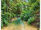 101 Midgenoo Feluga Road, Feluga QLD 4854