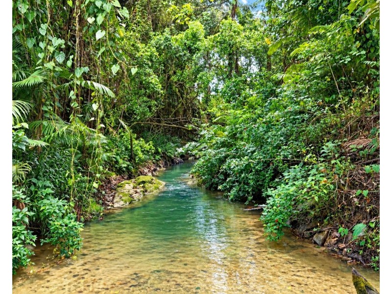 101 Midgenoo Feluga Road, Feluga QLD 4854