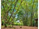 101 Midgenoo Feluga Road, Feluga QLD 4854