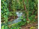 101 Midgenoo Feluga Road, Feluga QLD 4854