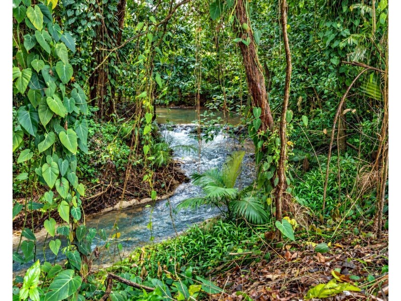 101 Midgenoo Feluga Road, Feluga QLD 4854