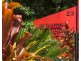Unit 10/23 The Boulevard, South Mission Beach QLD 4852