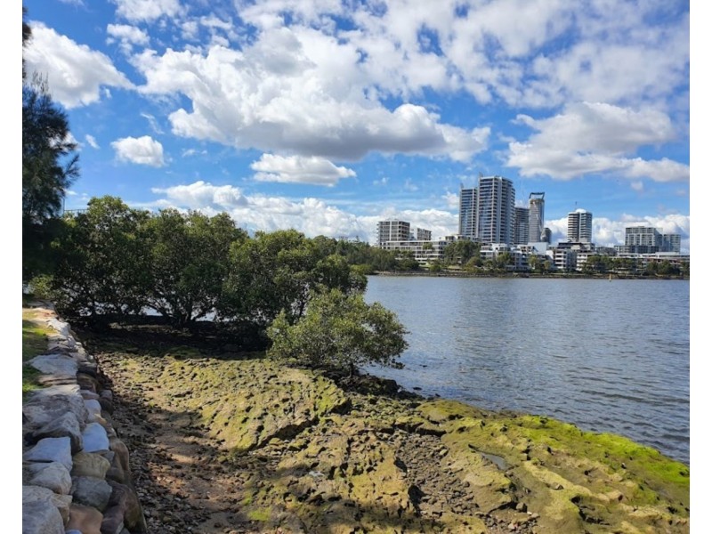 1/8 Riverview Street, West Ryde NSW 2114