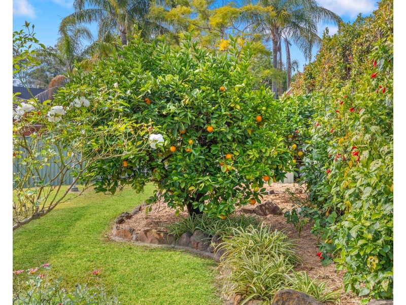 30 Kindelan Road, Winston Hills NSW 2153