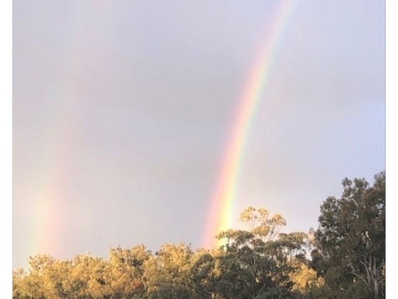 135 Burundah Drive, Warialda NSW 2402