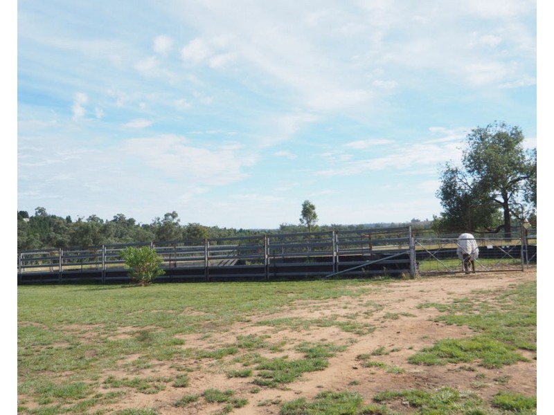 135 Burundah Drive, Warialda NSW 2402