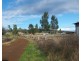 19 Narrabri Road, Bingara NSW 2404