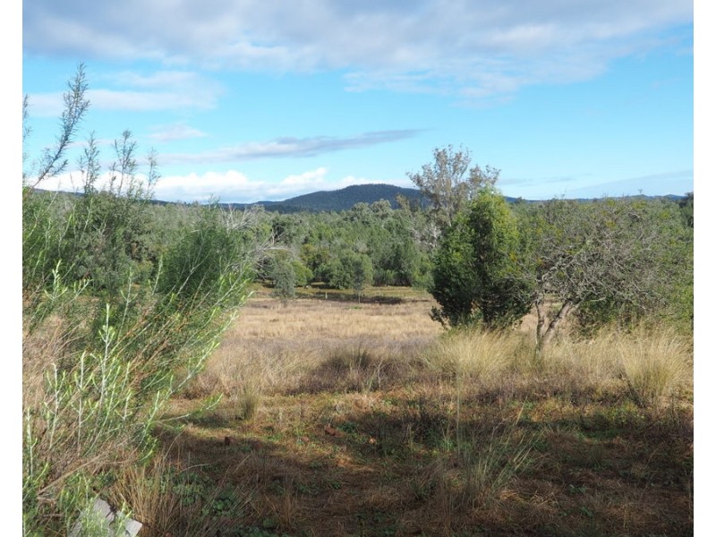 19 Narrabri Road, Bingara NSW 2404
