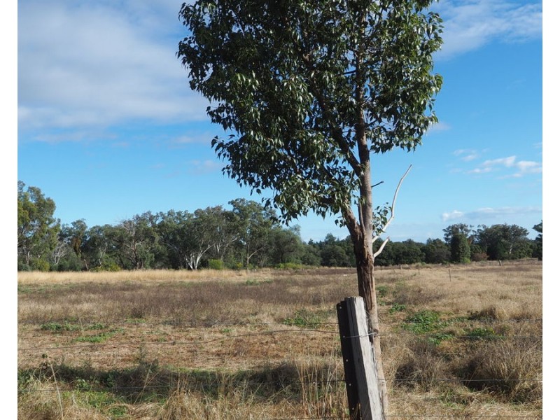 19 Narrabri Road, Bingara NSW 2404