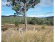 19 Narrabri Road, Bingara NSW 2404