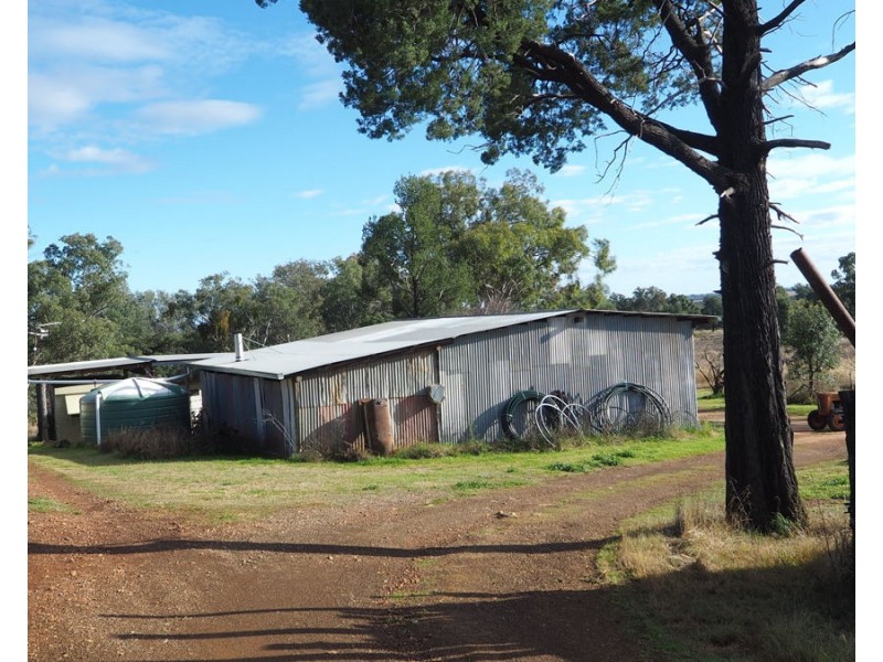 19 Narrabri Road, Bingara NSW 2404