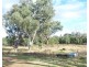 19 Narrabri Road, Bingara NSW 2404