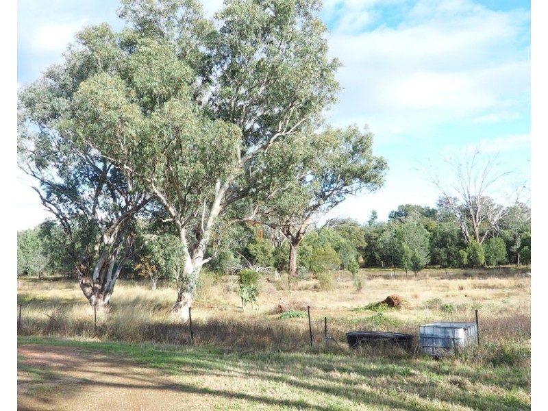 19 Narrabri Road, Bingara NSW 2404