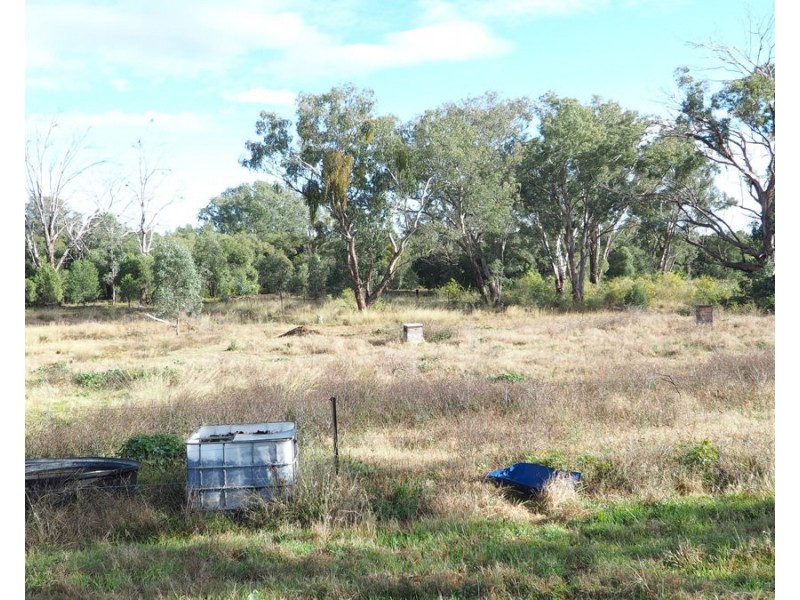 19 Narrabri Road, Bingara NSW 2404