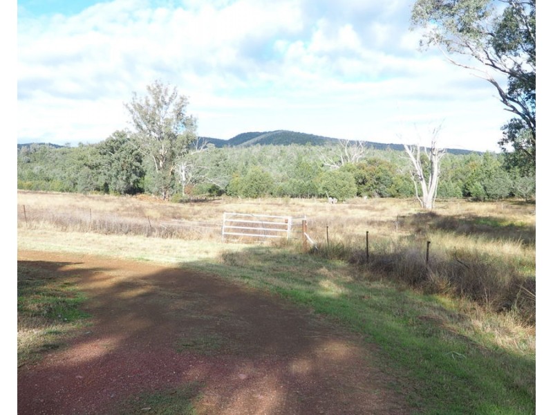 19 Narrabri Road, Bingara NSW 2404