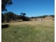 1361 Upper Bingara Road, Upper Bingara NSW 2404