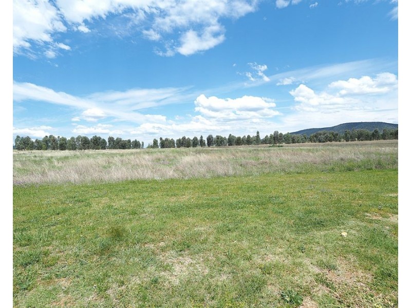 29 Moore Street, Bingara NSW 2404